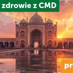 Pakiet szczepień medycyny podróży - Półwysep Indyjski z konsultacją