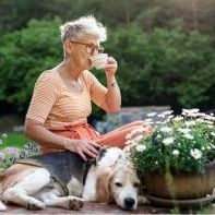 Vaccination package against tick-borne encephalitis- adults