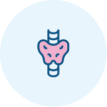 Pakiet Zdrowa Tarczyca